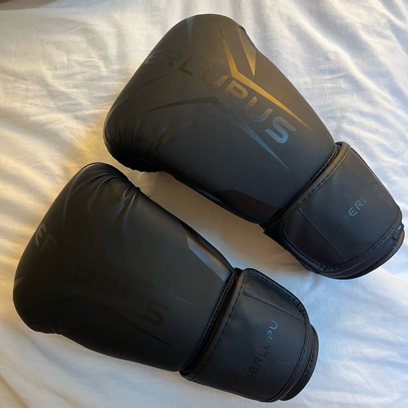 EUC Boxing Gloves - Picture 1 of 3